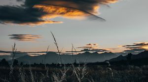 Preview wallpaper field, clouds, grass, sunset, twilight
