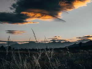 Preview wallpaper field, clouds, grass, sunset, twilight
