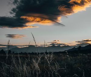 Preview wallpaper field, clouds, grass, sunset, twilight