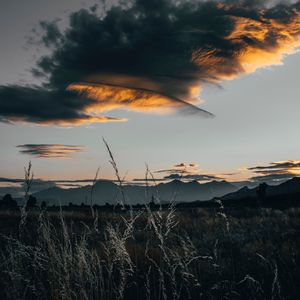 Preview wallpaper field, clouds, grass, sunset, twilight