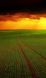 Preview wallpaper field, clouds, horizon, grass, agriculture