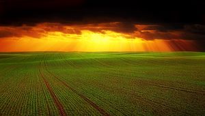 Preview wallpaper field, clouds, horizon, grass, agriculture