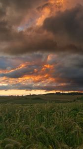 Preview wallpaper field, clouds, landscape, summer, nature