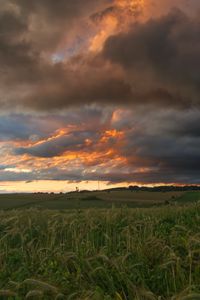 Preview wallpaper field, clouds, landscape, summer, nature