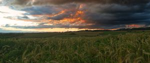 Preview wallpaper field, clouds, landscape, summer, nature