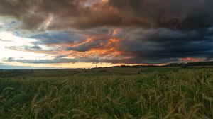 Preview wallpaper field, clouds, landscape, summer, nature