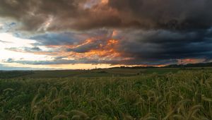 Preview wallpaper field, clouds, landscape, summer, nature