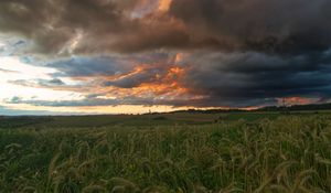 Preview wallpaper field, clouds, landscape, summer, nature