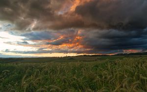 Preview wallpaper field, clouds, landscape, summer, nature
