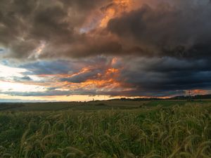 Preview wallpaper field, clouds, landscape, summer, nature