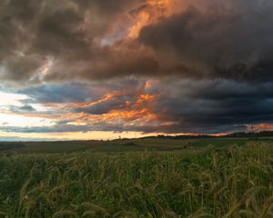 Preview wallpaper field, clouds, landscape, summer, nature