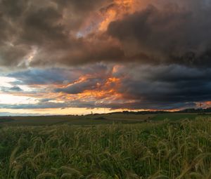 Preview wallpaper field, clouds, landscape, summer, nature