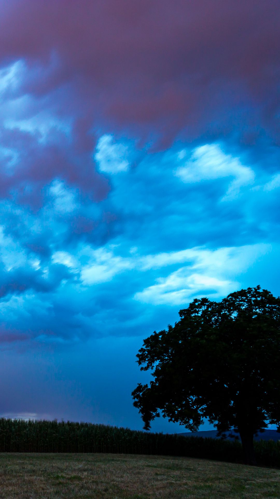1080x1920 Wallpaper field, clouds, lightning, storm, tree