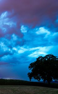 Preview wallpaper field, clouds, lightning, storm, tree