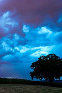 Preview wallpaper field, clouds, lightning, storm, tree