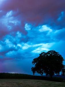 Preview wallpaper field, clouds, lightning, storm, tree
