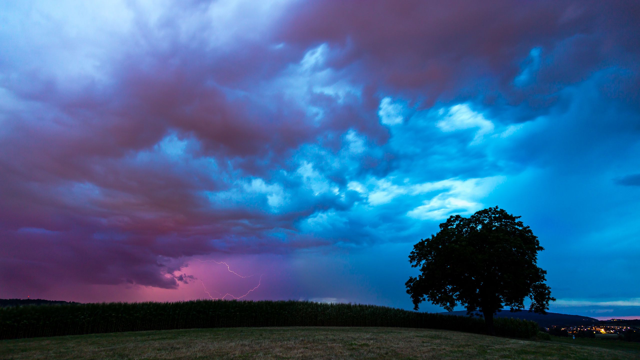 2560x1440 Wallpaper field, clouds, lightning, storm, tree