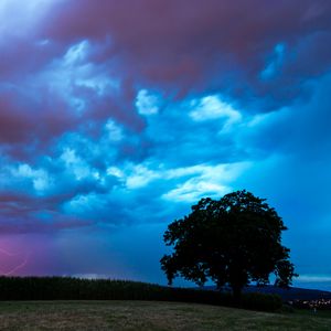 Preview wallpaper field, clouds, lightning, storm, tree
