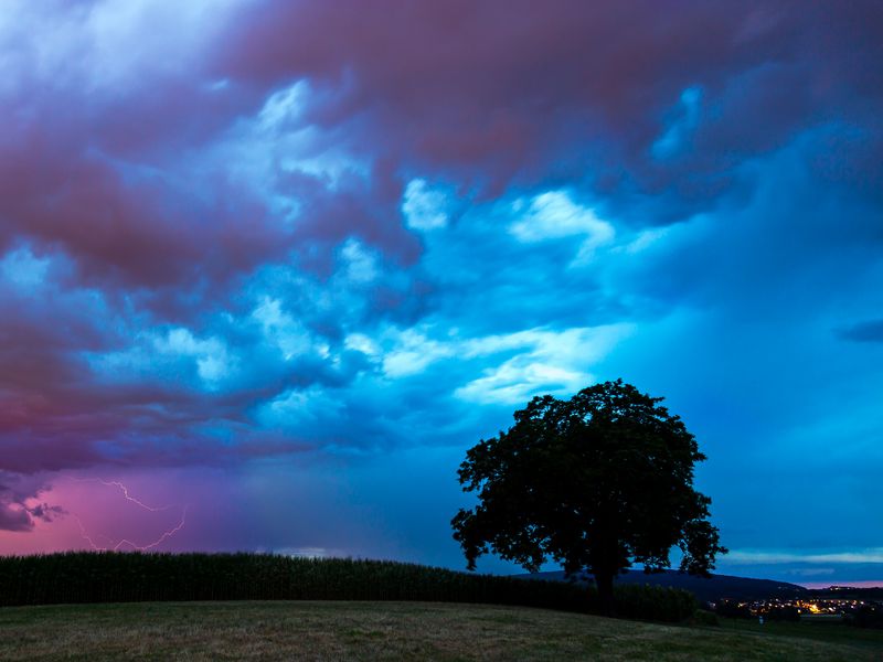 800x600 Wallpaper field, clouds, lightning, storm, tree