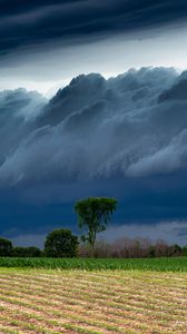 Preview wallpaper field, clouds, trees, stormy, landscape