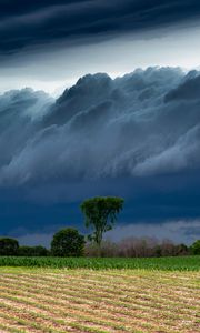 Preview wallpaper field, clouds, trees, stormy, landscape