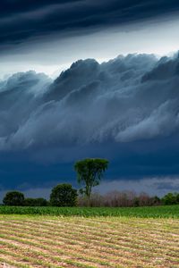 Preview wallpaper field, clouds, trees, stormy, landscape