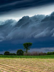 Preview wallpaper field, clouds, trees, stormy, landscape