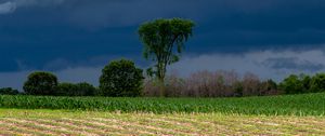 Preview wallpaper field, clouds, trees, stormy, landscape