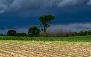 Preview wallpaper field, clouds, trees, stormy, landscape