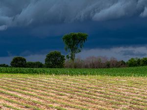 Preview wallpaper field, clouds, trees, stormy, landscape