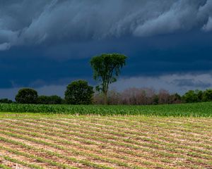 Preview wallpaper field, clouds, trees, stormy, landscape