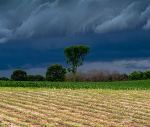 Preview wallpaper field, clouds, trees, stormy, landscape