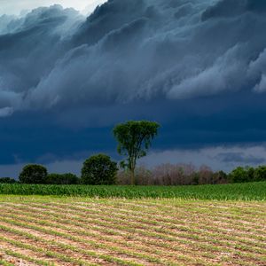 Preview wallpaper field, clouds, trees, stormy, landscape