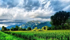 Preview wallpaper field, corn, greens, summer, mountains, sky, brightly