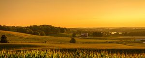 Preview wallpaper field, corn, vast, usa, ohio