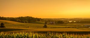 Preview wallpaper field, corn, vast, usa, ohio