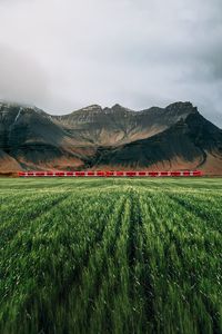 Preview wallpaper field, ears, mountains, train