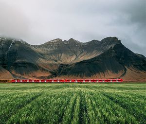 Preview wallpaper field, ears, mountains, train