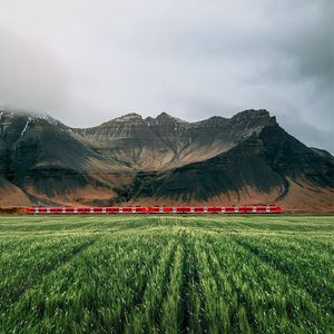 Preview wallpaper field, ears, mountains, train