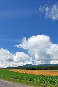 Preview wallpaper field, economy, hay, bales, trees, sky, road