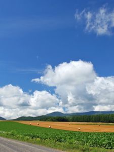 Preview wallpaper field, economy, hay, bales, trees, sky, road