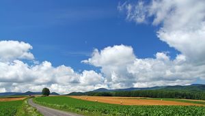 Preview wallpaper field, economy, hay, bales, trees, sky, road