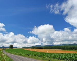 Preview wallpaper field, economy, hay, bales, trees, sky, road