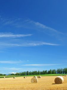 Preview wallpaper field, economy, hay, straw, bales, summer