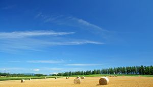 Preview wallpaper field, economy, hay, straw, bales, summer