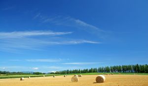 Preview wallpaper field, economy, hay, straw, bales, summer