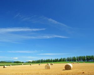 Preview wallpaper field, economy, hay, straw, bales, summer