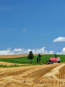 Preview wallpaper field, economy, hay, straw, house