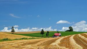 Preview wallpaper field, economy, hay, straw, house