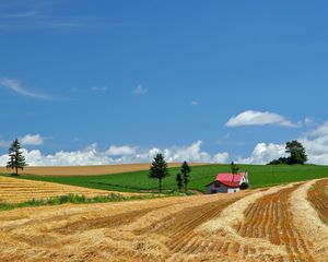 Preview wallpaper field, economy, hay, straw, house